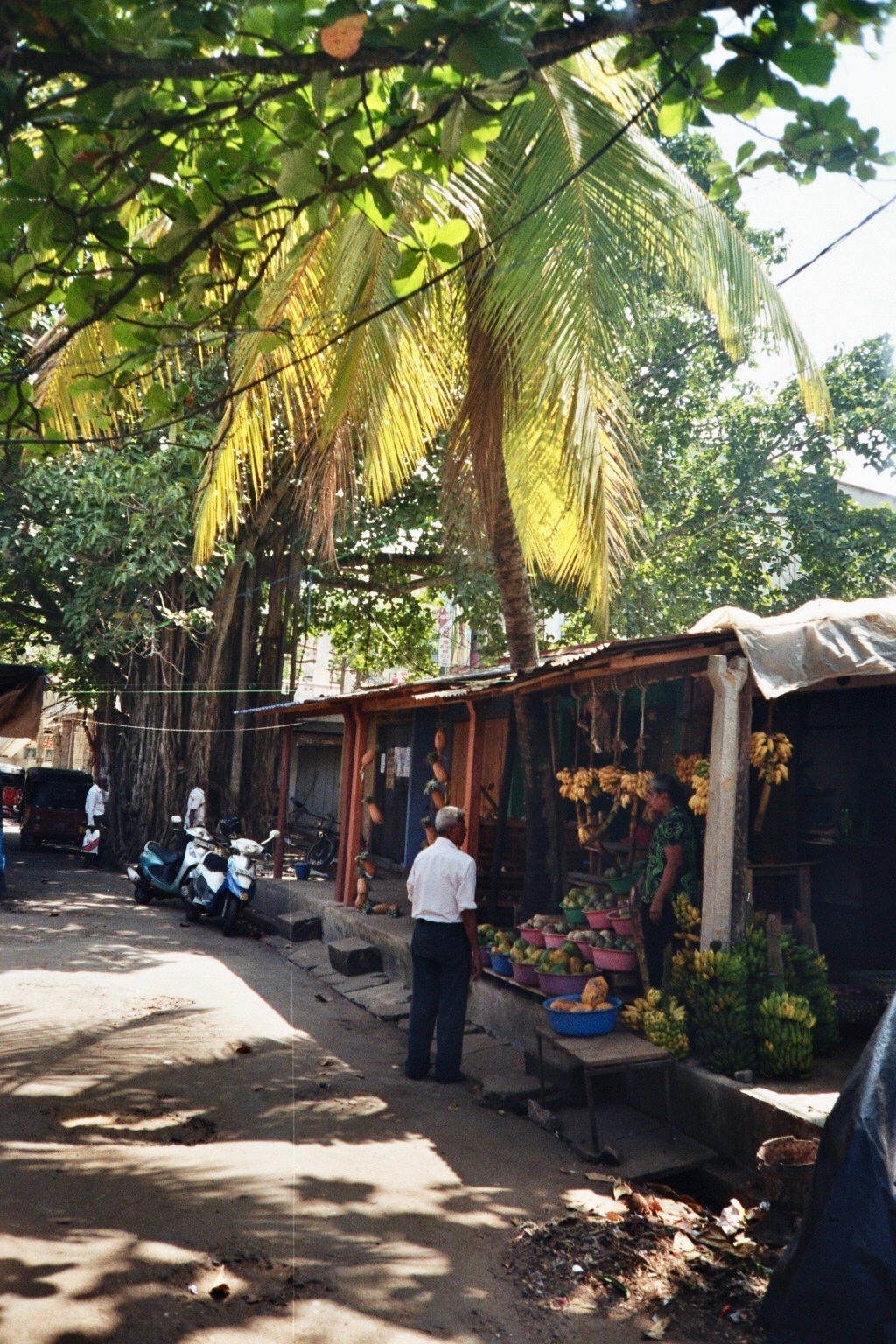 Sri Lanka analog - 173