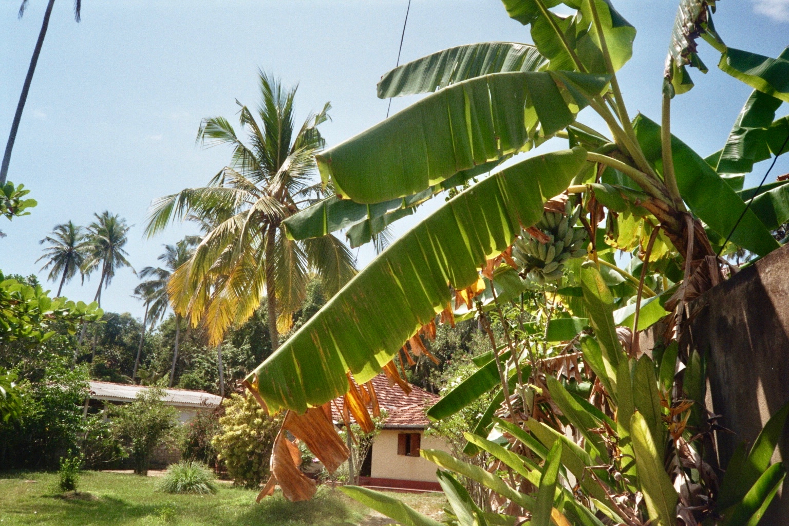 Sri Lanka analog - 66
