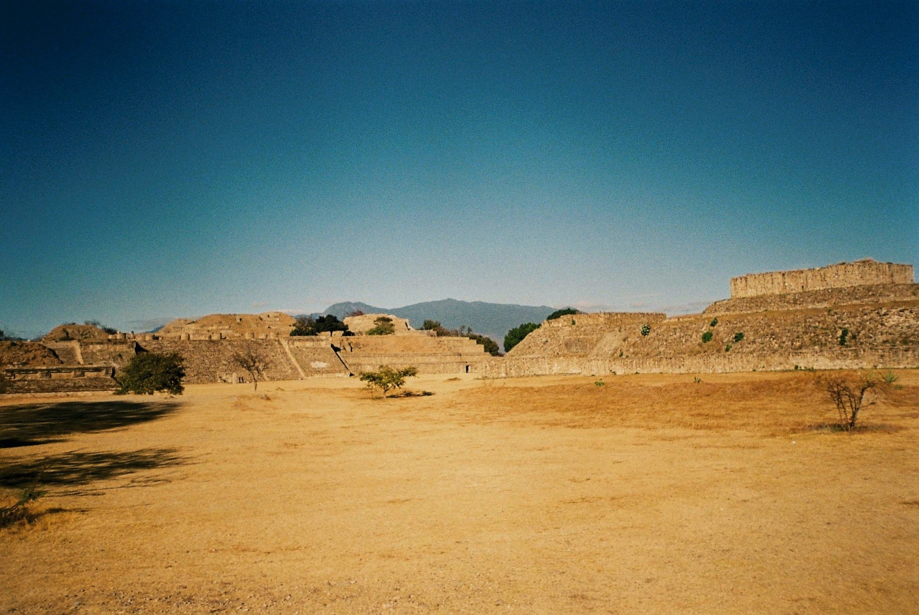 Monte Alban 01-2020 - 12 of 33