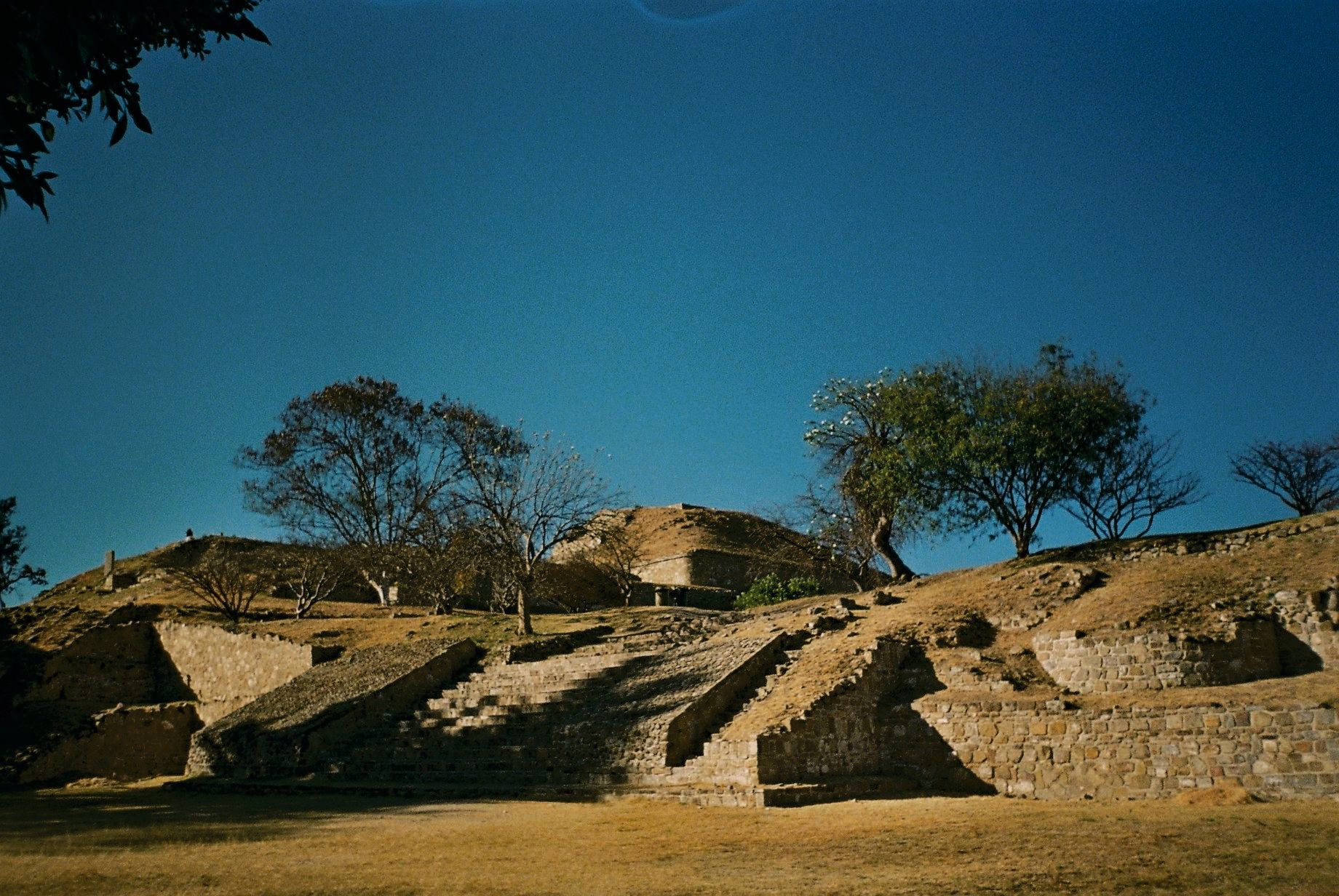 Monte Alban 01-2020 - 4 of 33